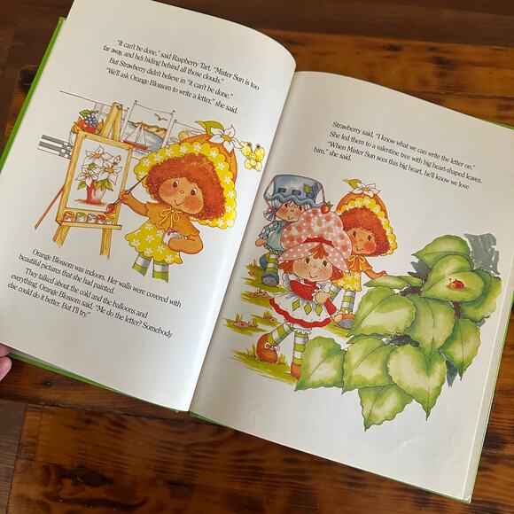Vintage 1983 Strawberry Shortcake And Sad Mr. Sun Hardcover Book - Picture 7 of 13